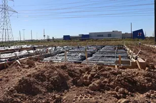 6427 Haltwhistle Ln, Katy, TX 77449 - Photo 4