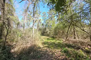 180 Hall Dr S, Montgomery, TX 77316 - Photo 8