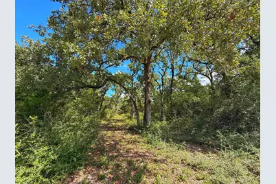 3803 Pr 4100, Marquez, TX 77865 - Photo 1