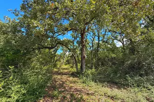 3803 Pr 4100, Marquez, TX 77865 - Photo 1