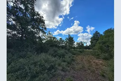 3803 Pr 4100, Marquez, TX 77865 - Photo 10