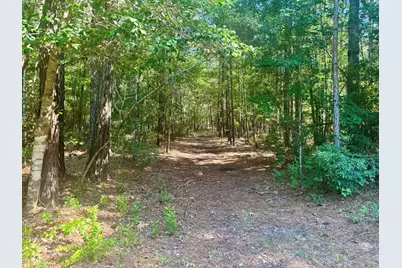 4720 B Hwy 21 E, Hemphill, TX 75948 - Photo 8
