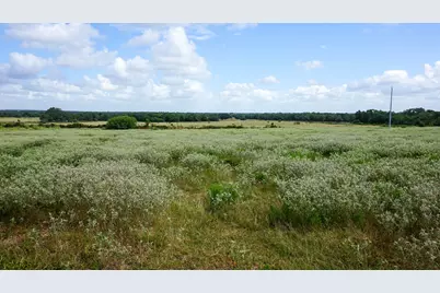 0 Hranicky Road, Schulenburg, TX 78956 - Photo 6