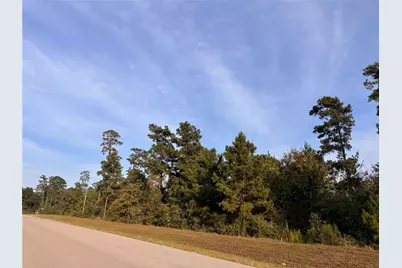 344 Iron Horse Road, Willis, TX 77378 - Photo 2