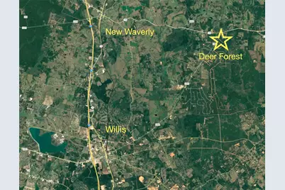 344 Iron Horse Road, Willis, TX 77378 - Photo 20