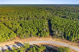 12696 Oak Barrel Rd, Willis, TX 77378 - Photo 2