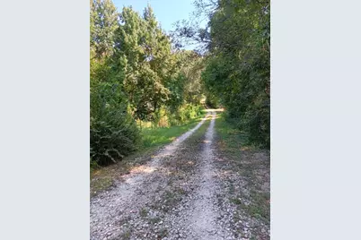 130 Donkey Trail, Coldspring, TX 77331 - Photo 8