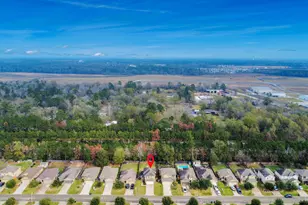 9967 Sterling Pl Dr, Conroe, TX 77303 - Photo 4