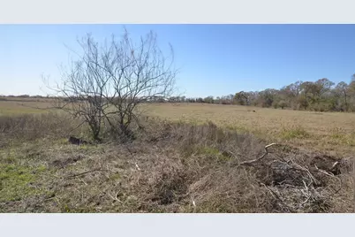 15573 Fm 1887 Road, Hempstead, TX 77445 - Photo 30