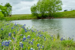 1716 Cr 469, Coupland, TX 78615 - Photo 4