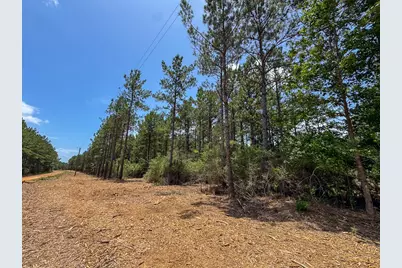 6 Benny Griffin Road, Livingston, TX 77351 - Photo 32