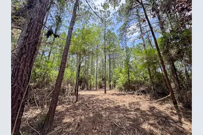 6 Benny Griffin Road, Livingston, TX 77351 - Photo 22