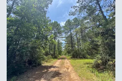 6 Benny Griffin Road, Livingston, TX 77351 - Photo 40