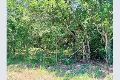 Tbd 1.54Ac Crennan Lane, Hearne, TX 77859 - Photo 4