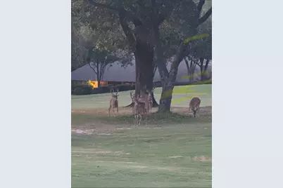 1800 Green Way Drive, Huntsville, TX 77340 - Photo 6