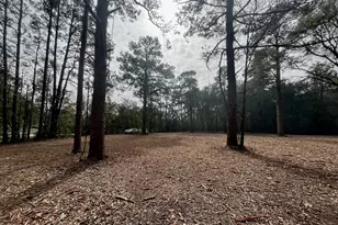 10690 Waukegan Rd, Conroe, TX 77306 - Photo 2