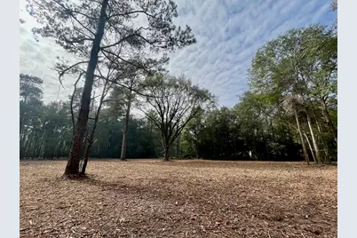 10690 Waukegan Road, Conroe, TX 77306 - Photo 4