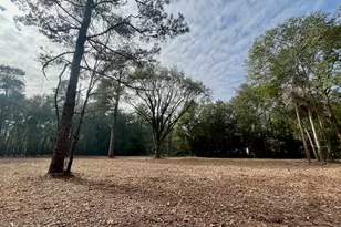 10690 Waukegan Rd, Conroe, TX 77306 - Photo 4