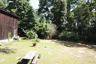 164 County Rd 2127, Burkeville, TX 75932 - Photo 6
