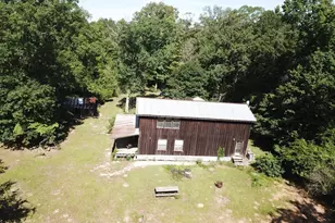 164 County Rd 2127, Burkeville, TX 75932 - Photo 4