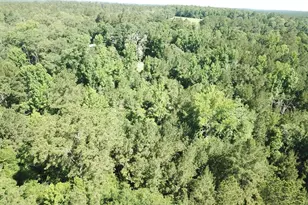 164 County Rd 2127, Burkeville, TX 75932 - Photo 10