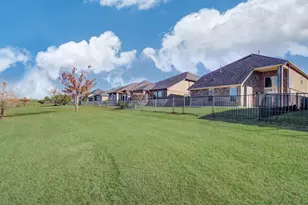 29138 Crystal Rose Ln, Fulshear, TX 77441 - Photo 28