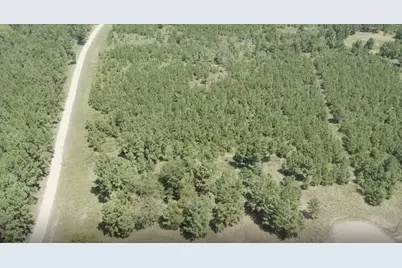 Tbd Hunt Ct, Lovelady, TX 75851 - Photo 10