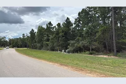 7621 Trinity Pines Dr, Montgomery, TX 77316 - Photo 4