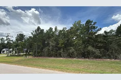 7621 Trinity Pines Dr, Montgomery, TX 77316 - Photo 1