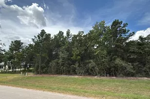 7621 Trinity Pnes Dr, Montgomery, TX 77316 - Photo 1