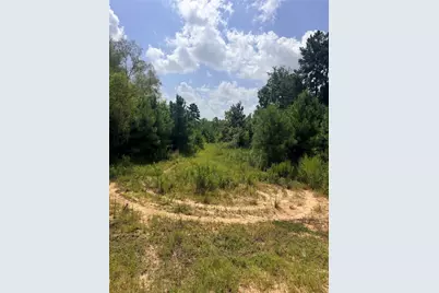 385 County Road 3773, Cleveland, TX 77327 - Photo 4