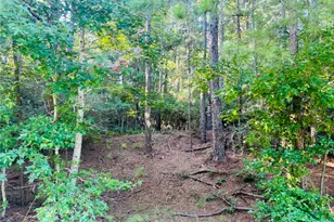 Tbd Willow Creek, Huntsville, TX 77340 - Photo 1