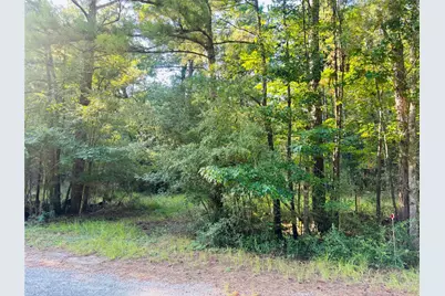 Tbd Willow Creek, Huntsville, TX 77340 - Photo 2