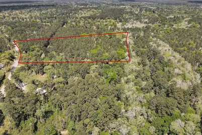 14869 County Line Road, Willis, TX 77378 - Photo 2