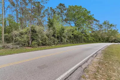 14869 County Line Road, Willis, TX 77378 - Photo 6