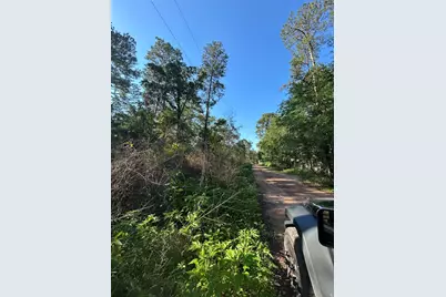Tbd White Oak Drive, Plantersville, TX 77363 - Photo 4