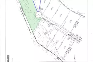 11707 Wishing Star Ct, Willis, TX 77378 - Photo 2