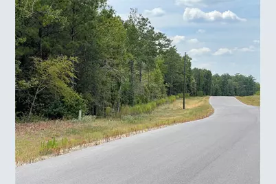 13-21-58 Bighorn Road, New Waverly, TX 77358 - Photo 6