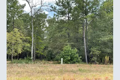 13-21-58 Bighorn Road, New Waverly, TX 77358 - Photo 4