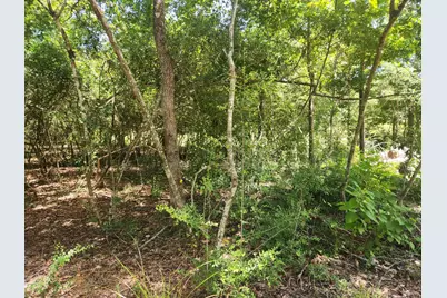 281 W Sierra Road, Coldspring, TX 77331 - Photo 40