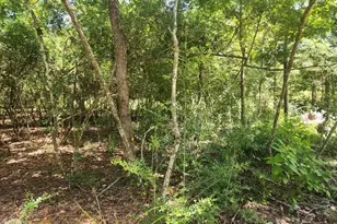 281 W Sierra Rd, Coldspring, TX 77331 - Photo 40