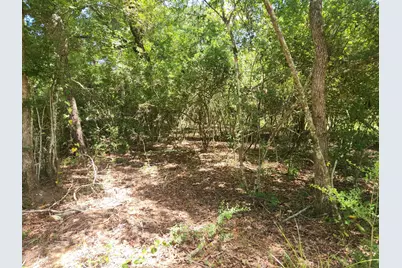 281 W Sierra Road, Coldspring, TX 77331 - Photo 36