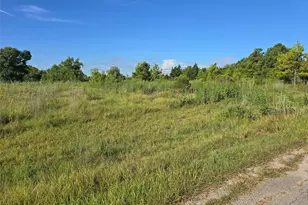 Lot 9 Lewis Creek Circle, Willis, TX 77318 - Photo 4