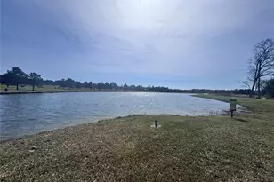 15584 Frst Grv Dr, Willis, TX 77378 - Photo 14