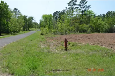 Tbd Laurel Drive, Livingston, TX 77351 - Photo 6