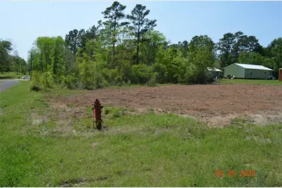 Tbd Laurel Drive, Livingston, TX 77351 - Photo 4