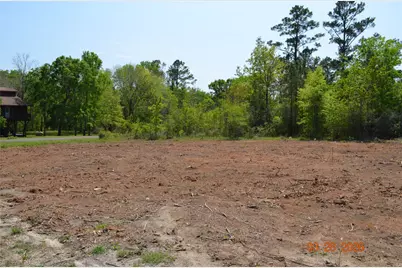Tbd Laurel Drive, Livingston, TX 77351 - Photo 2