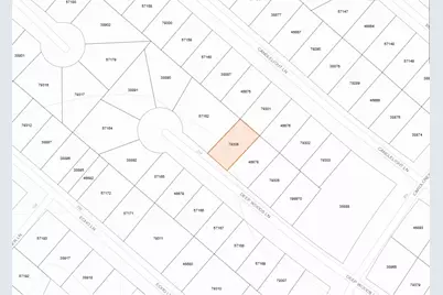 245 Deep Woods Lane, Livingston, TX 77351 - Photo 6