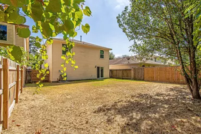 22815 Red Leo Lane, Spring, TX 77389 - Photo 16