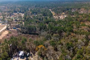 11 Seth Blvd, Cleveland, TX 77328 - Photo 50